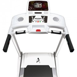  дорожка Ammity Classic ATM 520 W TFT-1